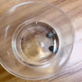 <a href='http://www.yunxiangju.cn' title='危險品貨代' >危險品貨代</a>